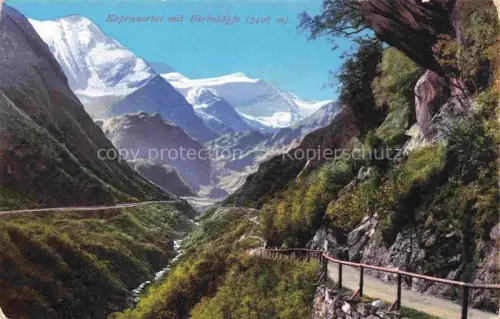 AK / Ansichtskarte Kaprun Pinzgau-Pongau Salzburg AT Panorama Kaprunertal mit Baerenkoepfe Hohe Tauern Photochromiekarte Nr. 9810