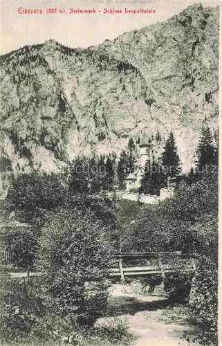 AK / Ansichtskarte Eisenerz Steiermark AT Schloss Leopoldstein
