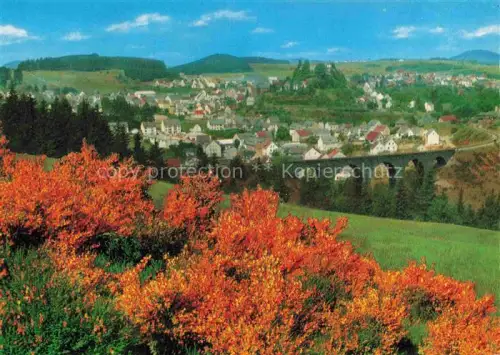 AK / Ansichtskarte Daun Vulkaneifel Rheinland-Pfalz Panorama mit Bungalows