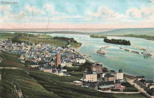 AK / Ansichtskarte RueDESHEIM am Rhein Hessen Panorama