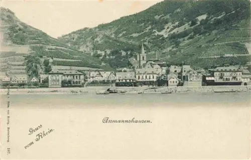 AK / Ansichtskarte AssMANNSHAUSEN Rhein Rheinpartie