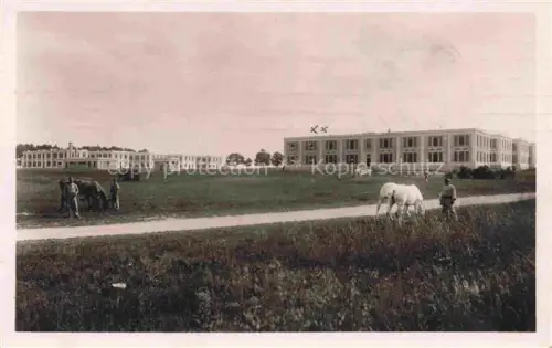 AK / Ansichtskarte Bouy Chalons-en-Champagne 51 Marne Pferde 