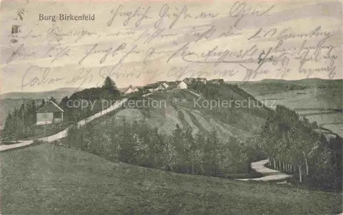 AK / Ansichtskarte Birkenfeld Nahe Rheinland-Pfalz Panorama mit Burg Birkenfeld