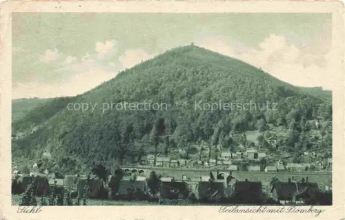 AK / Ansichtskarte SUHL Thueringen Teilansicht mit Domberg