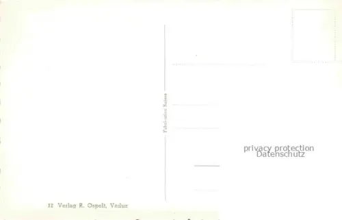 AK / Ansichtskarte Triesenberg Liechtenstein FL Blick ins Rheintal