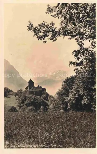 AK / Ansichtskarte Vaduz Liechtenstein FL Schloss Vaduz
