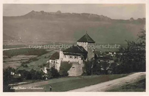 AK / Ansichtskarte Vaduz Liechtenstein FL Schloss Vaduz