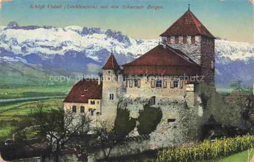 AK / Ansichtskarte Vaduz Liechtenstein FL Schloss Vaduz mit den Schweizer Bergen