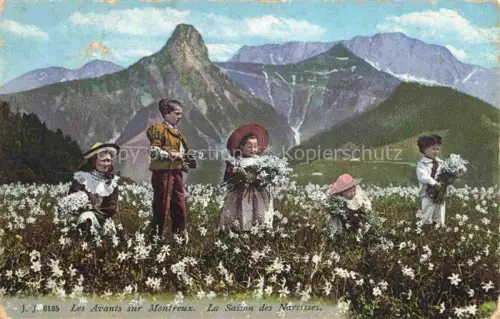 AK / Ansichtskarte Les Avants VD La Saison des Narcisses