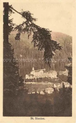 AK / Ansichtskarte ST BLASIEN BW Kloster