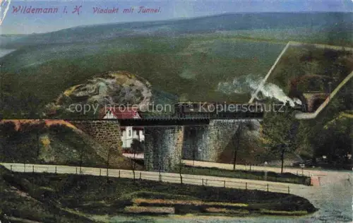 AK / Ansichtskarte Wildemann Harz Goslar Niedersachsen Viadukt mit Tunnel