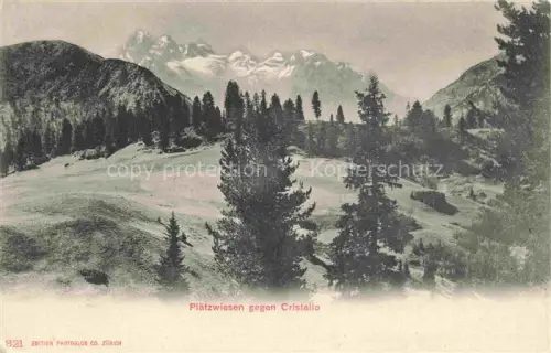 AK / Ansichtskarte Plaetzwiesen Prato Piazza Dolomiti IT mit Cristallo