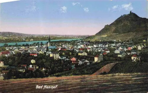 AK / Ansichtskarte BAD HONNEF Panorama
