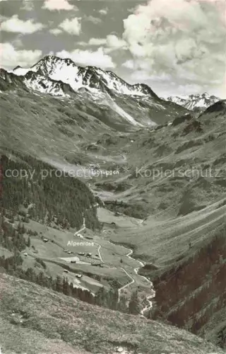 AK / Ansichtskarte Tschuggen Grindelwald BE Flueelatal mit Alpenrose Flueela Weisshorn und Passhoehe