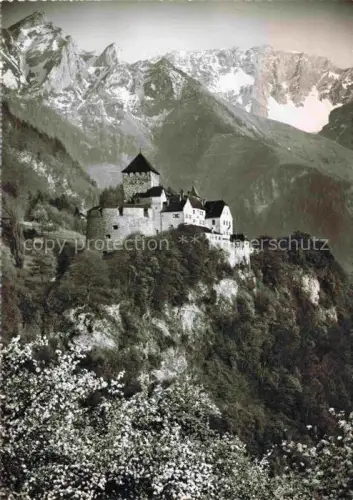 AK / Ansichtskarte Vaduz Liechtenstein FL Schloss Vaduz