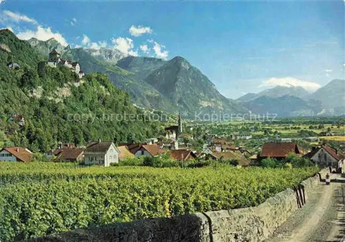 AK / Ansichtskarte Vaduz Liechtenstein FL Schloss Vaduz Panorama