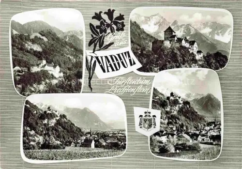 AK / Ansichtskarte Vaduz Liechtenstein FL Schloss Vaduz Panorama
