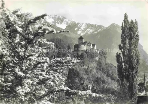 AK / Ansichtskarte Vaduz Liechtenstein FL Schloss Vaduz mit Falknis