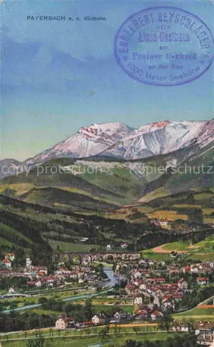 AK / Ansichtskarte Payerbach Niederoesterreich AT An der Suedbahn Panorama