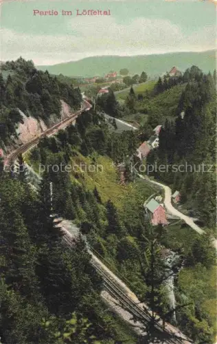 AK / Ansichtskarte Loeffeltal Hinterzarten BW Panorama