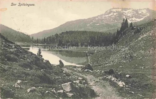 AK / Ansichtskarte Spitzingsee 1130m Schliersee Bayern Panorama