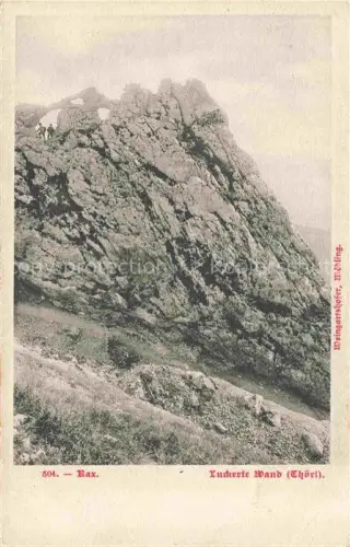 AK / Ansichtskarte Rax 2009m Steiermark AT Luckerte Wand