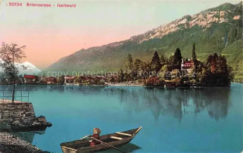 AK / Ansichtskarte Iseltwald Brienzersee Interlaken BE Seepanorama