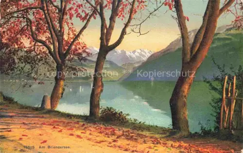 AK / Ansichtskarte Brienzersee Brienz BE Panorama