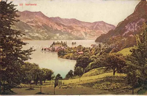 AK / Ansichtskarte Iseltwald Brienzersee Interlaken BE Panorama