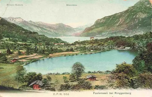 AK / Ansichtskarte Faulensee Bad Thunersee Niedersimmental BE Faulenseeli bei Ringgenberg