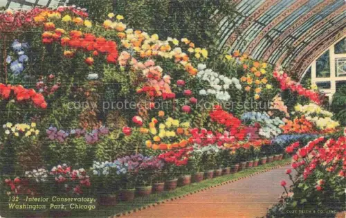 AK / Ansichtskarte CHICAGO  Illinois USA Interior Conservatory Washington Park