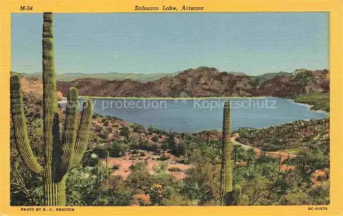 AK / Ansichtskarte Sahuaro Lake Saguaro Lake Maricopa Arizona USA Panorama