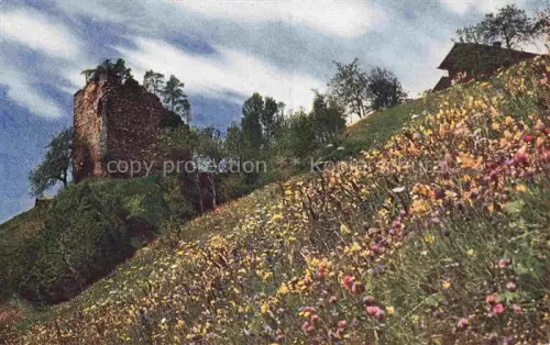 AK / Ansichtskarte Calfreisen Plessur GR Chur Arosa Bahn Ruine Bernegg