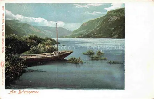 AK / Ansichtskarte Brienzersee Brienz BE Panorama