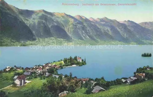 AK / Ansichtskarte Brienzerberg BE Iseltwald am Brienzersee Panorama