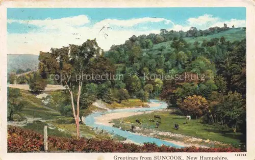 AK / Ansichtskarte Suncook New Hampshire USA Panorama