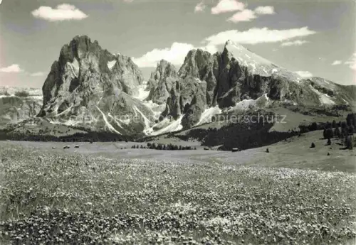AK / Ansichtskarte Seiseralm  Seiseralpe Alpe di Siusi Trentino IT Langkofel