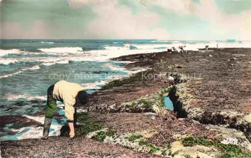 AK / Ansichtskarte Le Portel Boulogne-sur-Mer 62 Pas-de-Calais Cueillette des Moules