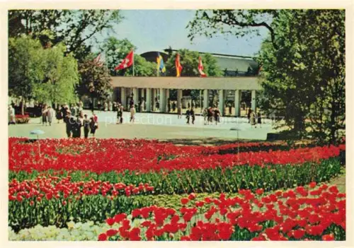 AK / Ansichtskarte IGA Gartenbauaustellung International Hamburg  Haupteingang am Dammtor 