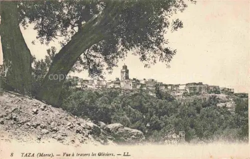 AK / Ansichtskarte TAZA  Maroc Vue à travers les oliviers