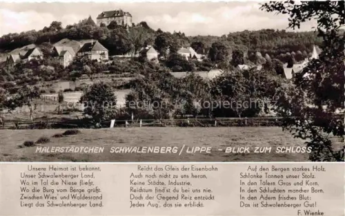 AK / Ansichtskarte Schwalenberg Panorama Blick zum Schloss Poesie F. Wienke