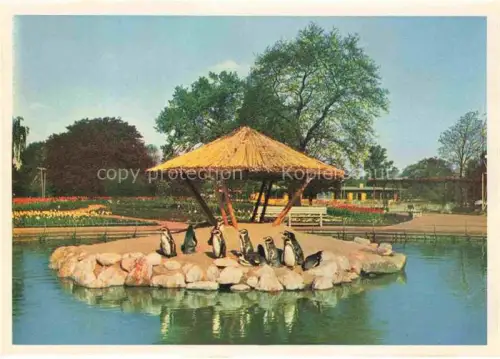 AK / Ansichtskarte IGA Gartenbauaustellung International Hamburg am Pinguinen Teich 