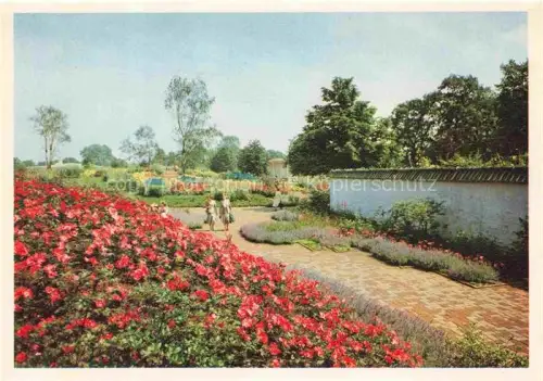 AK / Ansichtskarte IGA Gartenbauaustellung International Hamburg Rosenhuegel 