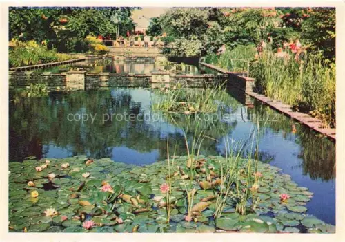 AK / Ansichtskarte IGA Gartenbauaustellung International Hamburg Seerosenbluete bei de Kaskaden 