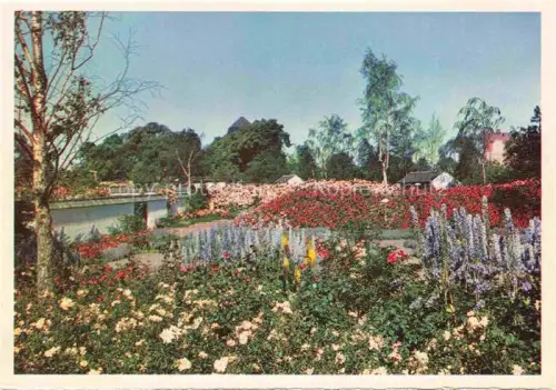 AK / Ansichtskarte IGA Gartenbauaustellung International Hamburg Ausblick vom Rosenhuegel 