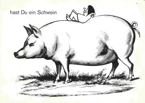 AK / Ansichtskarte Schweine Pigs Cochons Cerdos Maiali-- 
