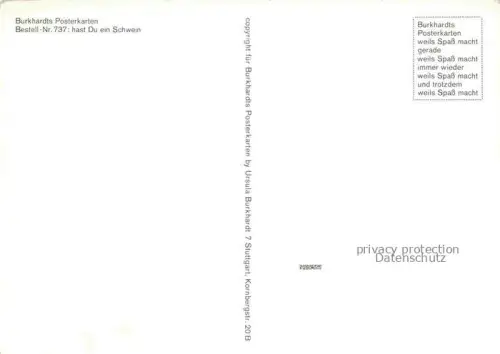 AK / Ansichtskarte Schweine Pigs Cochons Cerdos Maiali-- 