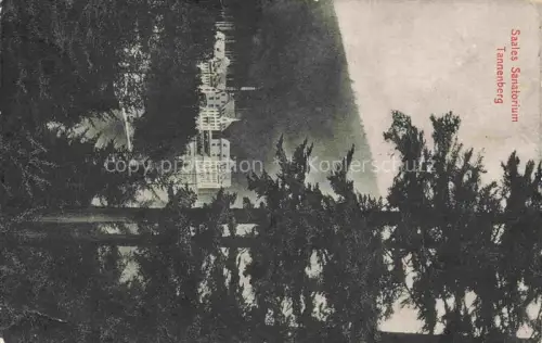 AK / Ansichtskarte Saales Saal Molsheim 67 Bas-Rhin Sanatorium Tennenberg 