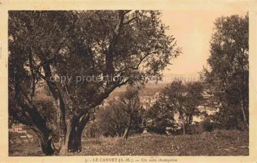 AK / Ansichtskarte Le Cannet GRAssE 06 Alpes-Maritimes Un coin Champetre 