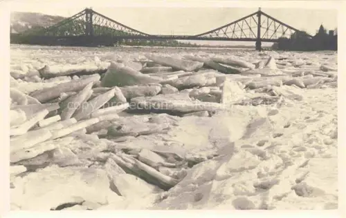 AK / Ansichtskarte DRESDEN Elbe Zugefrorene Elbe mit Bruecke